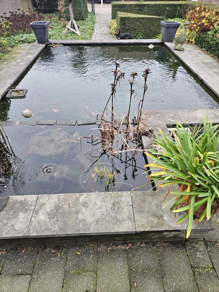 vijver en toebehoren, Tuin en Terras, Vijver-toebehoren, Gebruikt, Overige typen, Ophalen