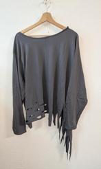 Nieuw kort tuniek van Moonshine met leuke effecten, Kleding | Dames, Grote Maten, Blouse of Tuniek, Nieuw, Ophalen of Verzenden