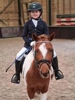 Super leuke a-pony te lease / bijrijder - verzorger gezocht, Dieren en Toebehoren, Paarden en Pony's | Overige Paardenspullen