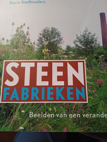 Steenfabrieken Beelden van een veranderd landschap beschikbaar voor biedingen
