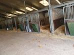 Aangeboden stalling in Nispen, Dieren en Toebehoren, Weidegang