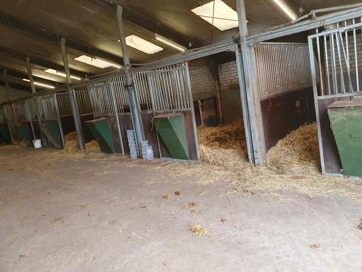 Aangeboden stalling in Nispen, Dieren en Toebehoren, Stalling en Weidegang, Stalling, Weidegang