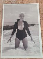 Pin-up model Lori Shea - Bunny Yeager, Verzenden, Ongelopen, Overige thema's