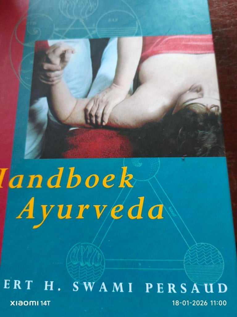 Handboek Ayurveda - Bert H. Swami Persaud, Ophalen of Verzenden, Gelezen, Overige onderwerpen, Bert H. Swami Persaud