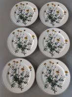 Dinerborden 24 cm Villeroy en Boch Botanica, Huis en Inrichting, Keuken | Servies, Ophalen of Verzenden, Zo goed als nieuw, Bord(en)