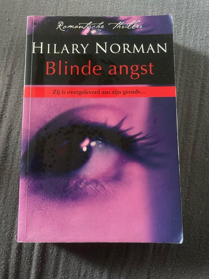 Blinde Angst - Hilary Norman, Boeken, Thrillers, Gelezen, Nederland, Ophalen