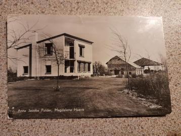 Anna Jacoba Polder- Magdalena Hoeve beschikbaar voor biedingen