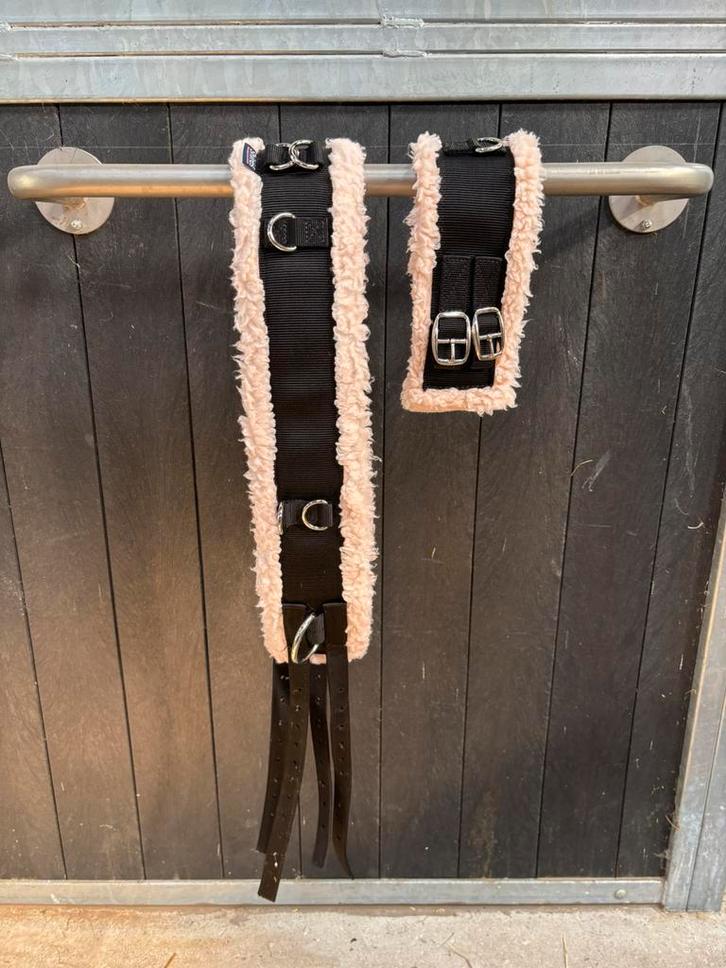 Longeersingel Shires + bijzetteugels QHP full, Dieren en Toebehoren, Paarden en Pony's | Hoofdstellen en Tuigage, Nieuw, Overige soorten