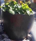 Grote oude terracotta bloempotten geglazuurd grijs antraciet, 40 cm of meer, Rond, Ophalen of Verzenden, Zo goed als nieuw