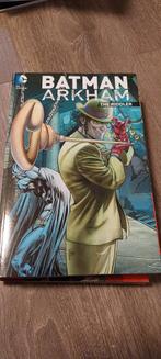 Batman Arkham Asylum - The Riddler Stripboek, Eén stripboek, Ophalen of Verzenden, Zo goed als nieuw, Diverse