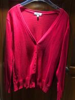 mooi vestje (M), Anni Rolfi, Ophalen of Verzenden, Zo goed als nieuw, Maat 38/40 (M)