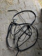 Nieuwe Thiedemann teugels en buikstuk full, Ophalen of Verzenden, Nieuw, Dressuur