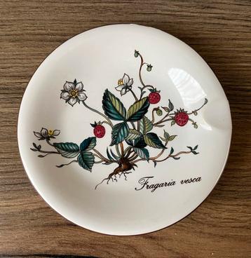 Villeroy&Boch Botanica asbakje of tea-tip beschikbaar voor biedingen