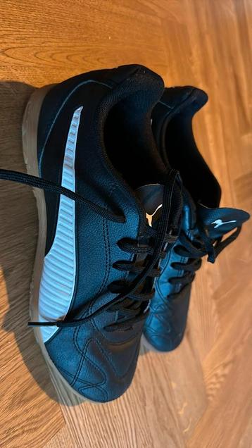 Gymschoenen Puma maat 39 beschikbaar voor biedingen