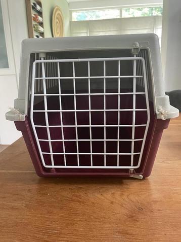 reismand kat, konijn of klein huisdier beschikbaar voor biedingen