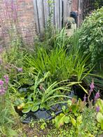 Vijverbak met pomp en luchttoevoer, Tuin en Terras, Ophalen, Gebruikt