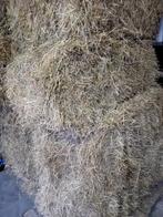 Kleine pakjes hooi, Ophalen of Verzenden, Vee