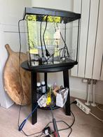 Superfish aquarium start 30 complete set, Dieren en Toebehoren, Vissen | Aquaria en Toebehoren, Ophalen, Gebruikt, Leeg aquarium