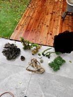 Aquarium ornamenten, Ophalen of Verzenden, Sierelement