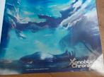 posters  Xenoblade cronicles gesigneerd Tetsuya Takahashi, Ophalen of Verzenden, Zo goed als nieuw