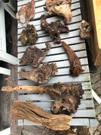 Terrarium/Aquarium hout, Ophalen of Verzenden, Gebruikt, Plant(en), Steen of Hout