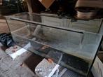 Aquarium 120x50x40 volglas, Dieren en Toebehoren, Vissen | Aquaria en Toebehoren, Ophalen, Zo goed als nieuw, Leeg aquarium