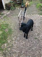 Zeer aparte vintage houten paraplubak., Ophalen