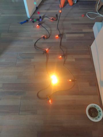 Flame / vlam lampen 5 meter beschikbaar voor biedingen