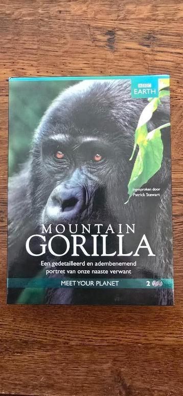 Mountain Gorilla beschikbaar voor biedingen