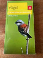 Vögel - Ontdek en Herken Vogelgids, Boeken, Ophalen of Verzenden, Zo goed als nieuw, Oftring, Vogels