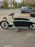 Urban Arrow Next bakfiets showmodel met 10% korting, Overige merken, 4 kinderen of meer, Nieuw, Ophalen of Verzenden