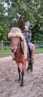 Lieve mooie C pony merrie, Dieren en Toebehoren, Pony's, C pony (1.27m tot 1.37m), Gechipt, B, 11 jaar of ouder