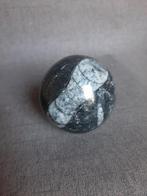Prachtige Orthoceras bol, Verzamelen, Mineralen en Fossielen, Ophalen of Verzenden, Mineraal