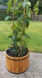 Ronde houten bloembakken, Tuin, Minder dan 60 cm, Rond, Nieuw