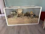 Complete hamsteruitzet – Zo goed als nieuw!, Dieren en Toebehoren, Knaagdieren en Konijnen | Hokken en Kooien, Kooi, Minder dan 75 cm