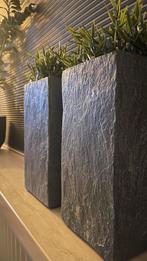 Bloempotten met nepplantjes - 35 cm hoog, Tuin en Terras, Ophalen, Beton, Rechthoekig, Binnen