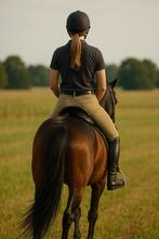Gezocht verzorg/leasepaard of pony omgeving Hengelo, Dieren en Toebehoren, Stalling en Weidegang