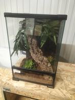 Habistat ingericht terrarium 30/30/45, Dieren en Toebehoren, Nieuw, Ophalen of Verzenden, Terrarium of Paludarium