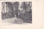Brielle. Brielsche Staatweg., Verzamelen, Ansichtkaarten | Nederland, Verzenden, 1920 tot 1940, Gelopen, Zuid-Holland