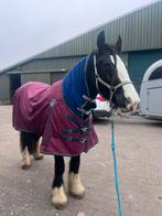 Perfect voor KOUDBLOEDEN. Felix Buhler 195. 100g., Ophalen of Verzenden, Zo goed als nieuw