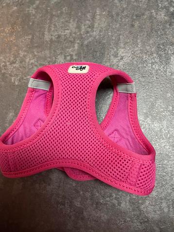 Hondentuigjes beschikbaar voor biedingen