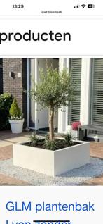 Bloembak staal zonder bodem, Tuin en Terras, Bloembakken en Plantenbakken, Minder dan 30 cm, Rond, Ophalen of Verzenden, Zo goed als nieuw