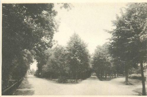 (387-246-033) Ermelo Driesprong Horsterweg, Verzamelen, Ansichtkaarten | Nederland, Gelderland, Verzenden