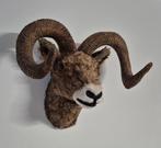 Moeflon kop(wild schaap), Ophalen of Verzenden, Zo goed als nieuw