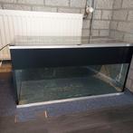 Kweekbak 80x35x40, Ophalen, Gebruikt, Leeg aquarium