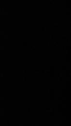 CE Chauffeur palletdistributie ZZP of Loondienst, Vacatures