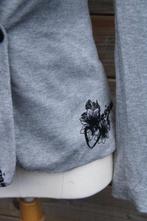 Jasje grijs Desigual mt 36 Vaste prijs, Ophalen of Verzenden, Zo goed als nieuw, Jasje, Grijs