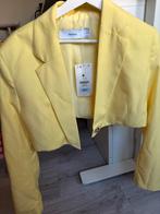 Bershka Gele Cropped Blazer - Nieuw!, Kleding | Dames, Ophalen, Geel, Nieuw, Jasje