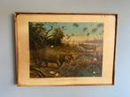 Vintage schoolplaten dieren en natuur, nijlpaard, kameel, Ophalen of Verzenden