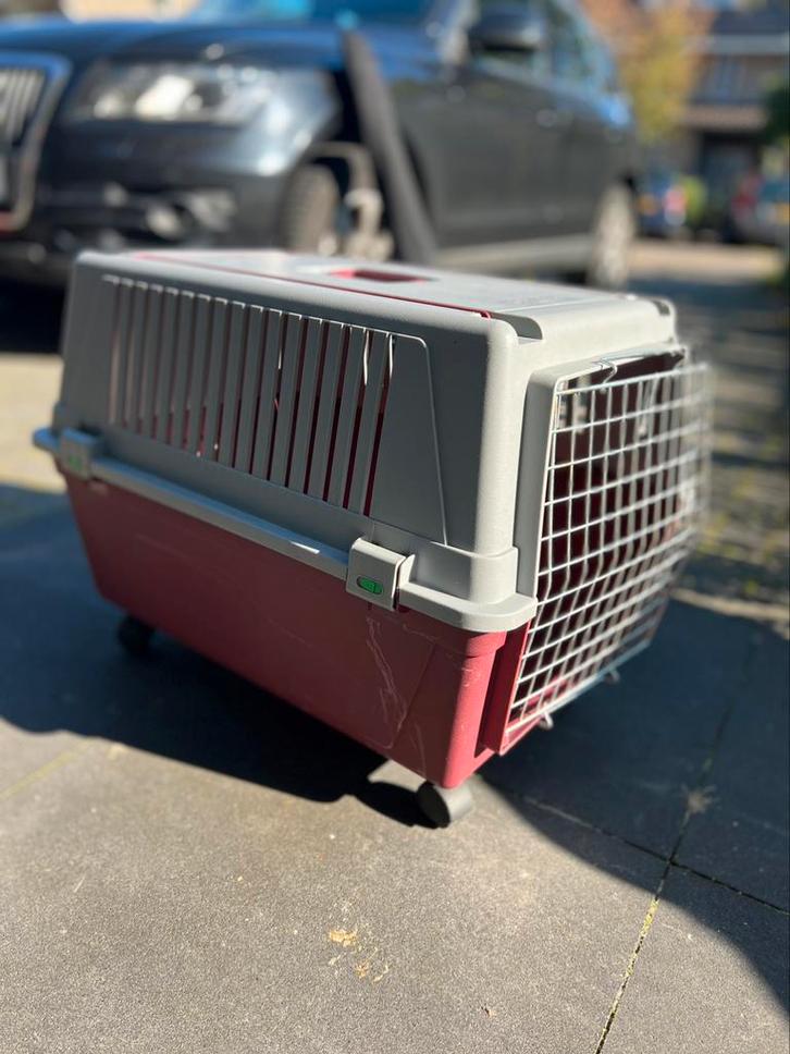 Ferplast Vervoersbox Atlas 40 - Hondentransportbox - bench, Dieren en Toebehoren, Transportboxen, Gebruikt, Ophalen